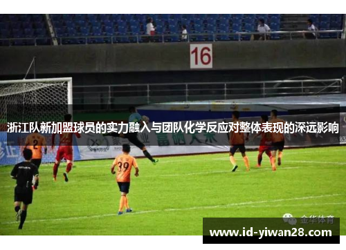 浙江队新加盟球员的实力融入与团队化学反应对整体表现的深远影响
