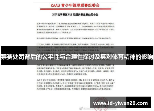 禁赛处罚背后的公平性与合理性探讨及其对体育精神的影响