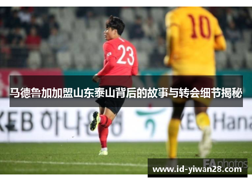 马德鲁加加盟山东泰山背后的故事与转会细节揭秘